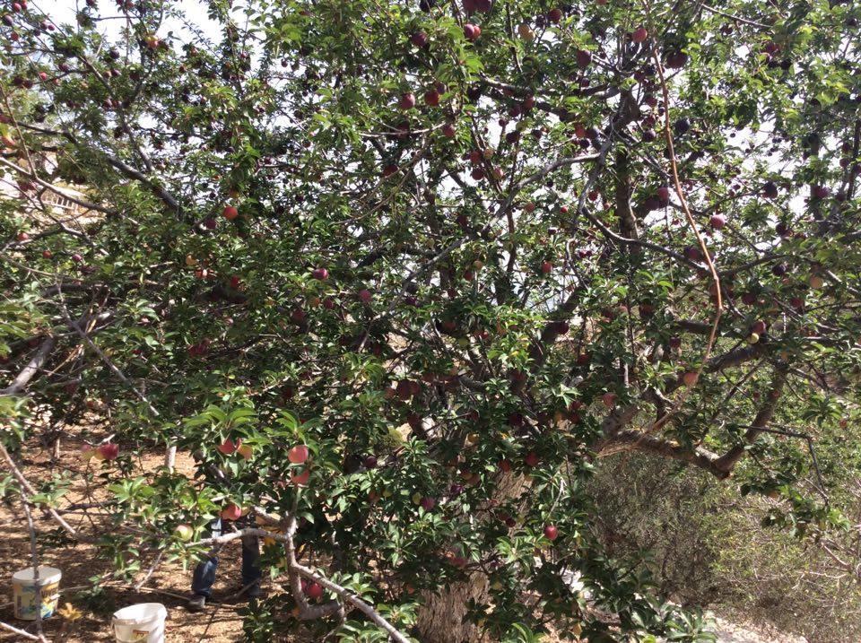 Menetaí La Villa Di Zazopetra מראה חיצוני תמונה