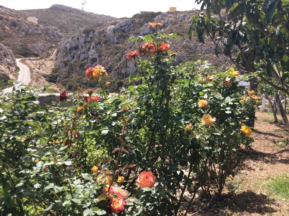 Menetaí La Villa Di Zazopetra מראה חיצוני תמונה