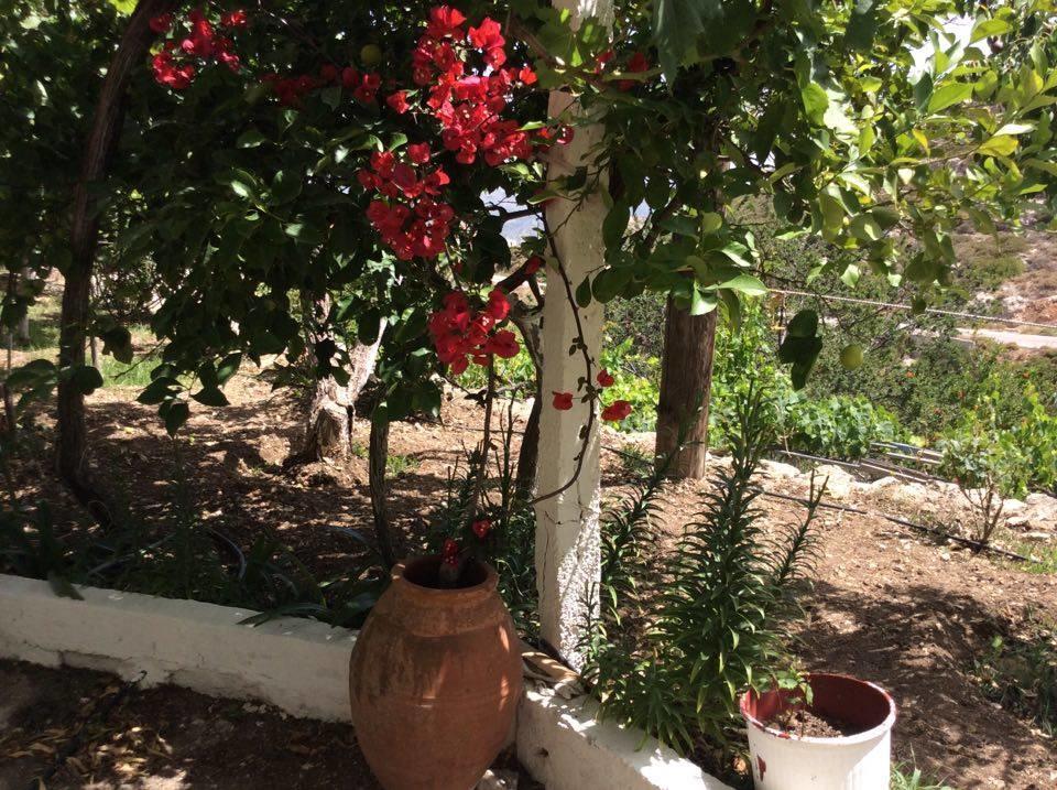 Menetaí La Villa Di Zazopetra מראה חיצוני תמונה
