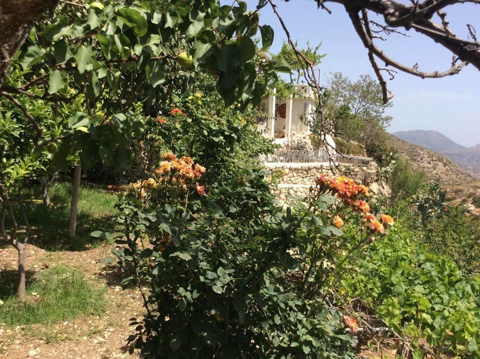 Menetaí La Villa Di Zazopetra מראה חיצוני תמונה