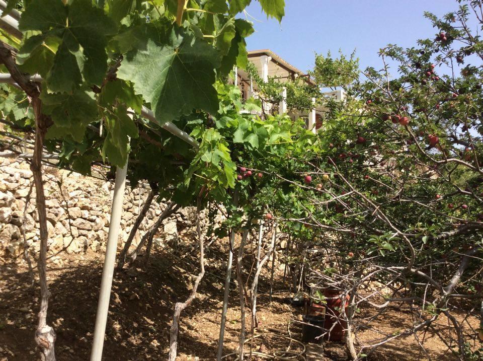 Menetaí La Villa Di Zazopetra מראה חיצוני תמונה