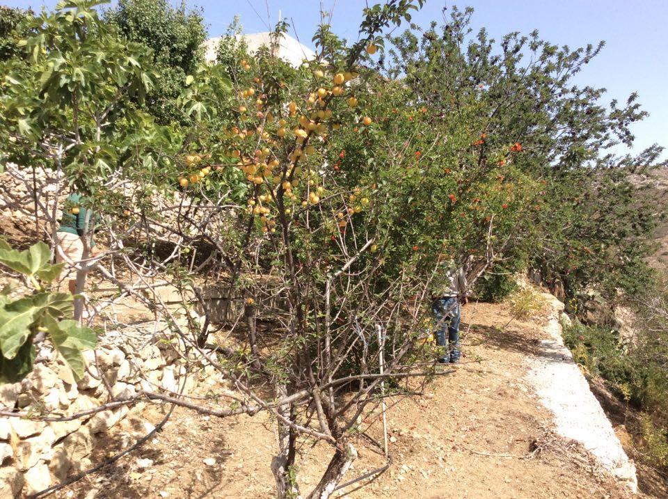 Menetaí La Villa Di Zazopetra מראה חיצוני תמונה