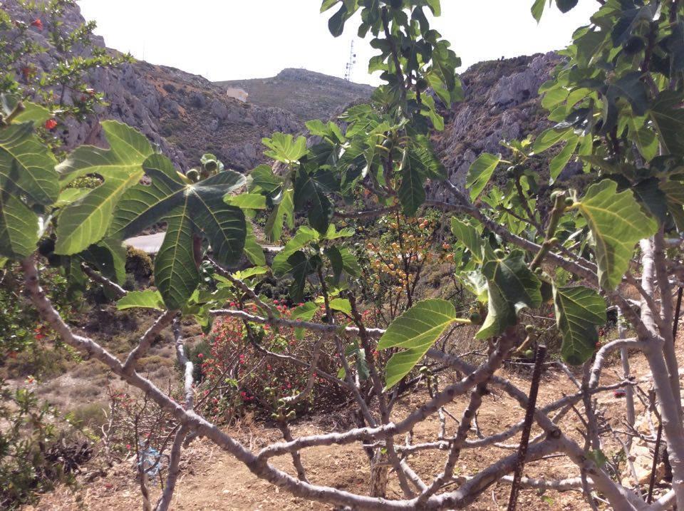 Menetaí La Villa Di Zazopetra מראה חיצוני תמונה