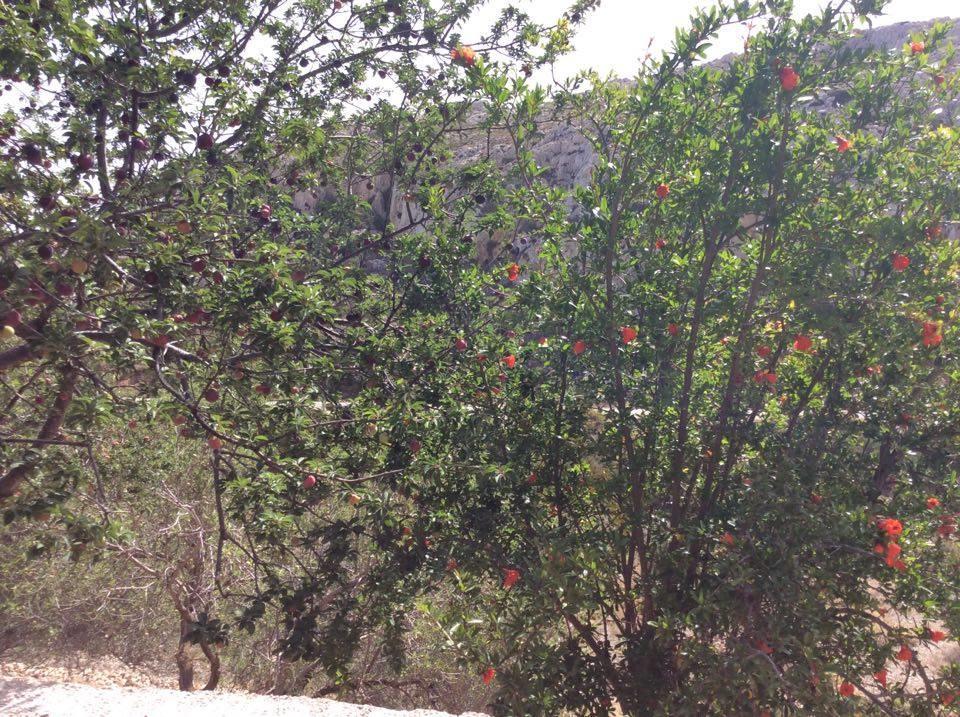 Menetaí La Villa Di Zazopetra מראה חיצוני תמונה