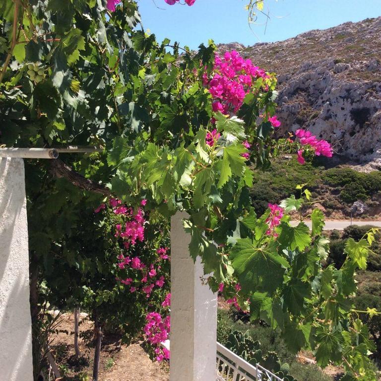 Menetaí La Villa Di Zazopetra מראה חיצוני תמונה
