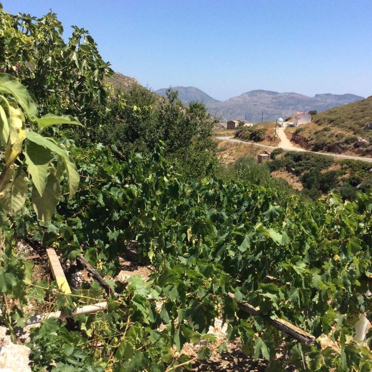 Menetaí La Villa Di Zazopetra מראה חיצוני תמונה